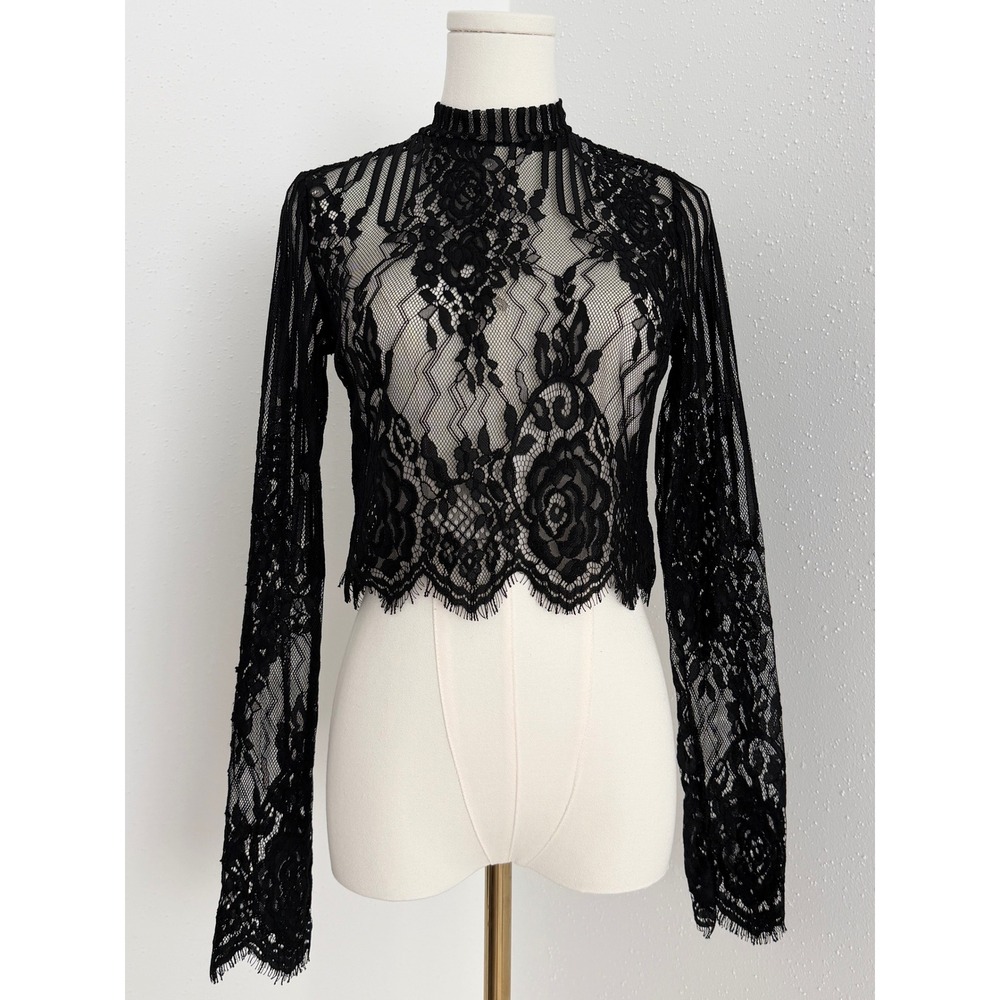 Black Sheer Lace Crop Top Mock Neck Long Sleeve Goth Whimsigoth Witchy (M)